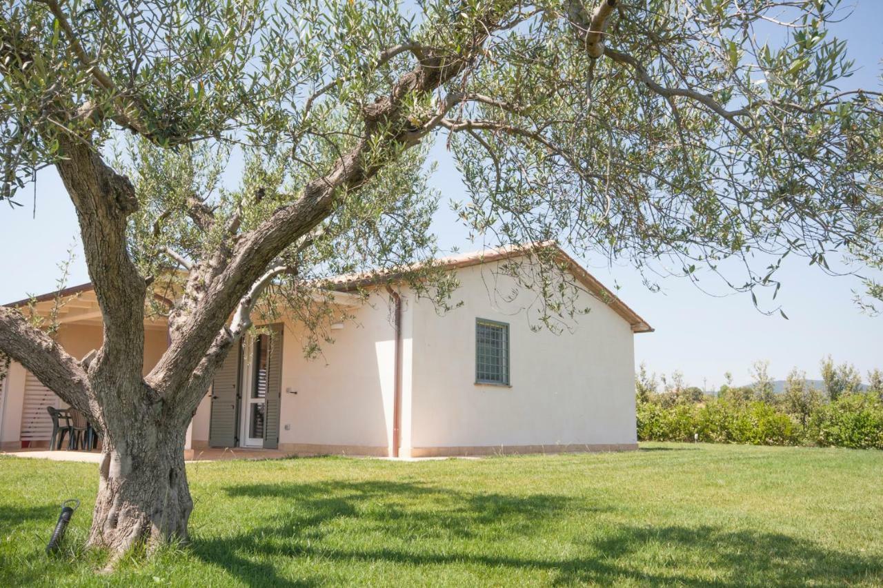 Agriturismo Il Mirto Pescia Romana Zewnętrze zdjęcie